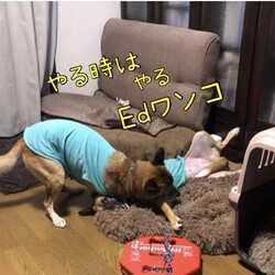 「やるときはやるEdワンコ」サムネイル1