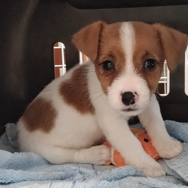 れぐぞぉのカバー写真