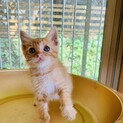 おっとり♡癒し系の男の子