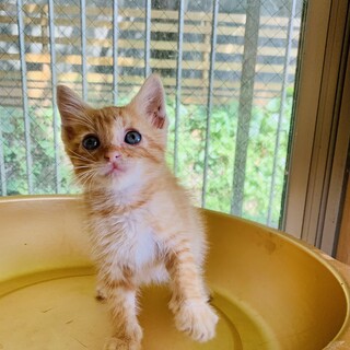 おっとり♡癒し系の男の子