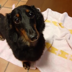 がんばりました