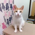 まろ❣️マシュマロのようなやわらかな子