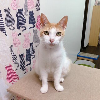 まろ❣️マシュマロのようなやわらかな子