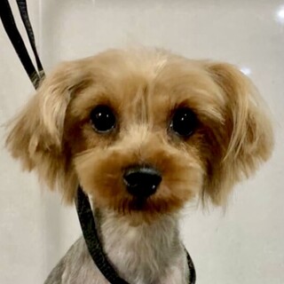 田野畑ピコピコ鳴るおもちゃで遊んでくれるの大好き❤