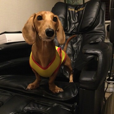 スーパーマン　チビ助