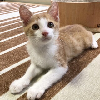 *⑅୨୧ 元気いっぱいのメルくん ୨୧⑅*