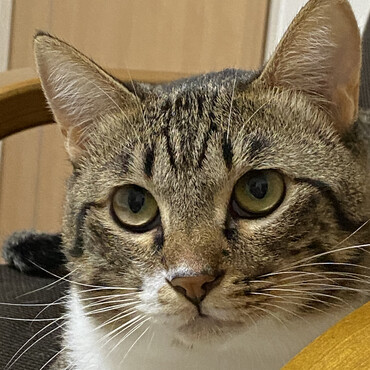 どアップ
