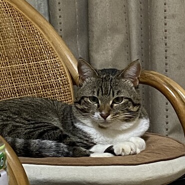 椅子で佇む