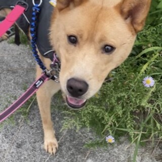 ★おつゆくん★安心できるお家がみつかりますように…