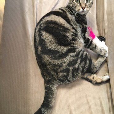 取り憑かれたように遊ぶかいちゃん。
