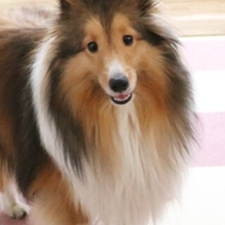 明るく朗らかな男の子