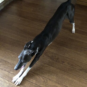 リラックス
