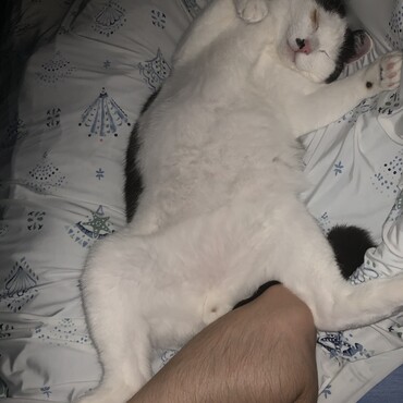 ニアの写真
