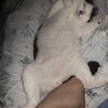 の写真