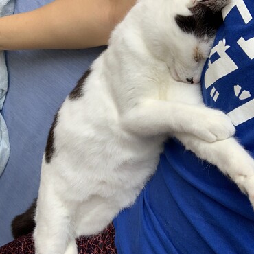 ニアの写真