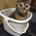 あざと可愛い♡たまきさん