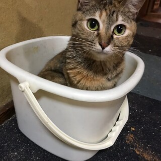 あざと可愛い♡たまきさん