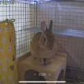 ありがとうございました