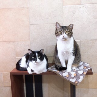 ママ❤️優しいお母さんです