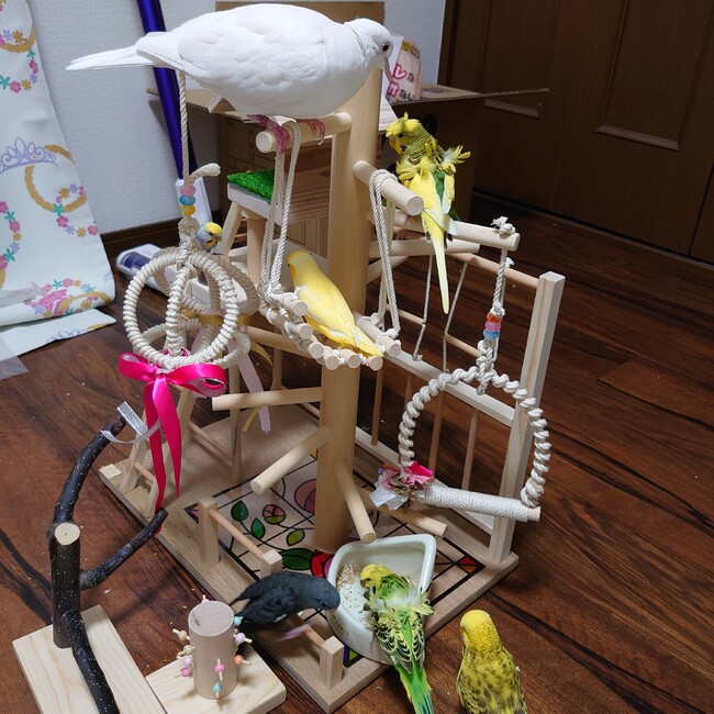 かかぽっちゃんのカバー写真