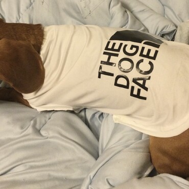 ザ・ドックフェイスだよ。