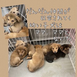 「瀬戸は日暮れて・・」サムネイル2