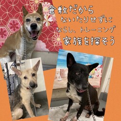 「瀬戸は日暮れて・・」サムネイル3