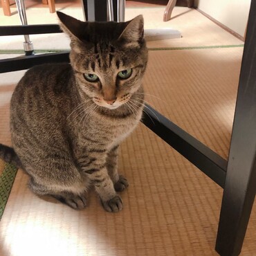 の写真