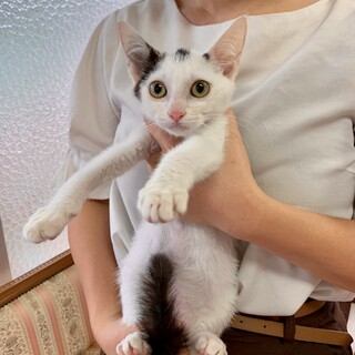 超フレンドりーな可愛いい　イトちゃん❣️2か月