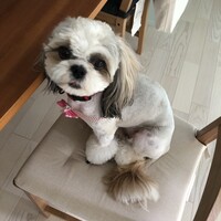 こなつ