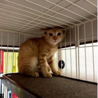 見つけたよ。可愛い子。