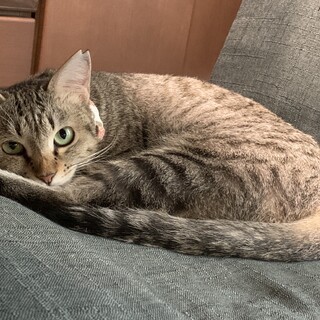 小顔でとっても美人【美海】