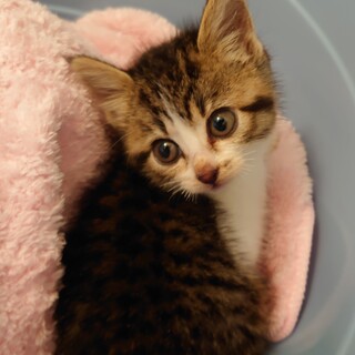 ❤️色んな意味でとにかく金メダル級のプラムちゃん