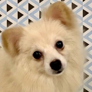 馬門（まかど）楽しくゆっくり自由を体験中だよ