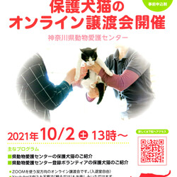 神奈川県動物愛護センターによる保護犬猫のオンライン譲渡会