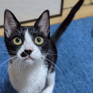 のんびりのんちゃん