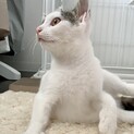 私の家族になってね！！！！