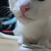 ミルク