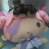 ななあゆ