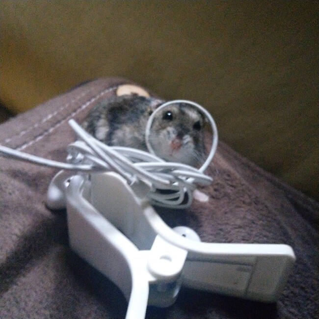 ななあゆのカバー写真