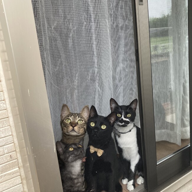 おーつちゃんのカバー写真