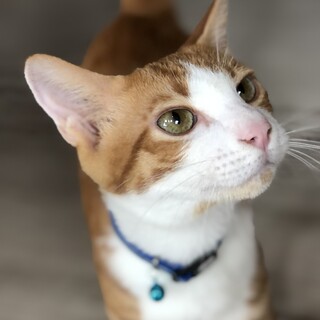 4か月男の子