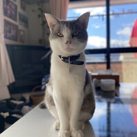 じゃじゃまる