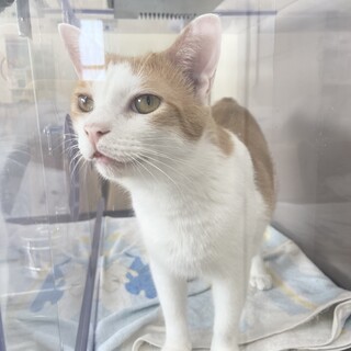 ブサかわちゃん性格はなまるです❣️お見合い可能！