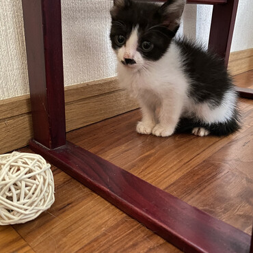 の写真