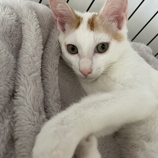 甘えん坊で元気いっぱいのリョータくん