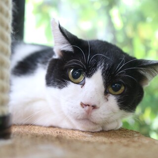 【オダカ】募集を終了しました