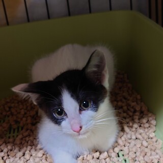 人馴れ抜群！○おきくん○