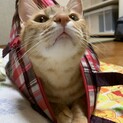 里親さま決まりました！