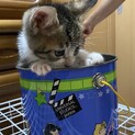やんちゃだけど甘えん坊